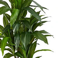 Nearly Natural 48in. Green Dracaena Indoor Artificial Tree