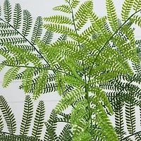 Nearly Natural 3.5ft. Green Minimalist Jacaranda Artificial Plant
