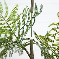 Nearly Natural 5ft. Green Minimalist Jacaranda Artificial Plant