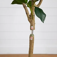 Nearly Natural 5ft. Red Camellia Rose Indoor Artificial Tree