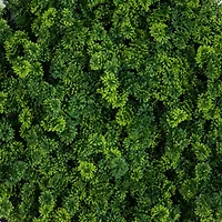 Nearly Natural 20in. Green Irish Meadow Wall Panel Artificial Plant