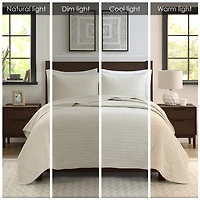 Madison Park Velvet Touch 3-pc. Coverlet Set