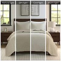 Madison Park Velvet Touch 3-pc. Coverlet Set