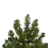 Northlight 3ft Prelit Full Canadian Pine 3 Foot Pre-Lit Pine Christmas Tree