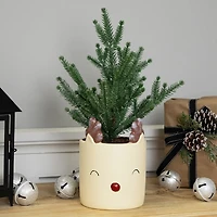Northlight 14" Mini Artificial In Reindeer 1 Foot Christmas Tree