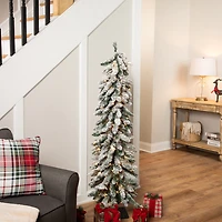 Northlight 5ft Prelit Pencil Flocked Alpine Artificial Clear Lights 5 Foot Flocked Pine Christmas Tree