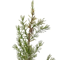 Northlight 28" Potted Frosted Pine 2 Foot Pine Christmas Tree