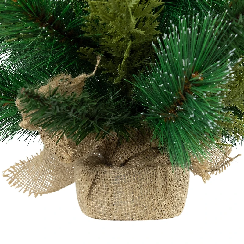 Northlight 25" Mini Spruce Pine Needle And Pinecone 2 Foot Pine Christmas Tree