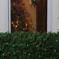 Northlight 6ft Incandescent Net Style Net Lights