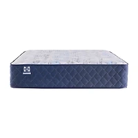 Sealy Wellmont 14.5" Extra Firm Tight Top - Mattress Only