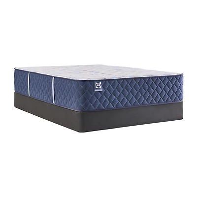 Sealy Wellmont 14.5" Medium Tight Top - Mattress + Box Spring