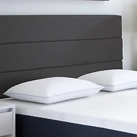 Comfort Tech Tranquility Traditional Pillow