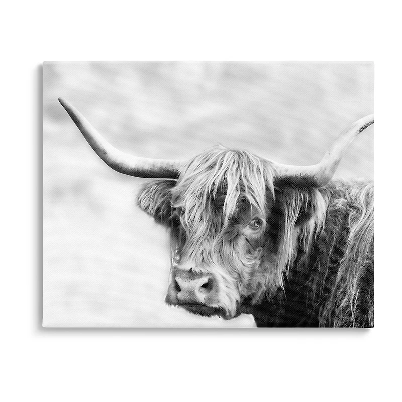 Stupell Industries Bold Country Cattle Photography Canvas Art