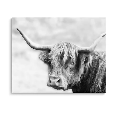 Stupell Industries Bold Country Cattle Photography Canvas Art