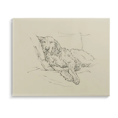 Stupell Industries Fluffy Retriever Dog Sketch Canvas Art
