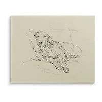 Stupell Industries Fluffy Retriever Dog Sketch Canvas Art