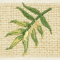 Linum Home Textiles Zoe 2-pc. Embellished Washcloth