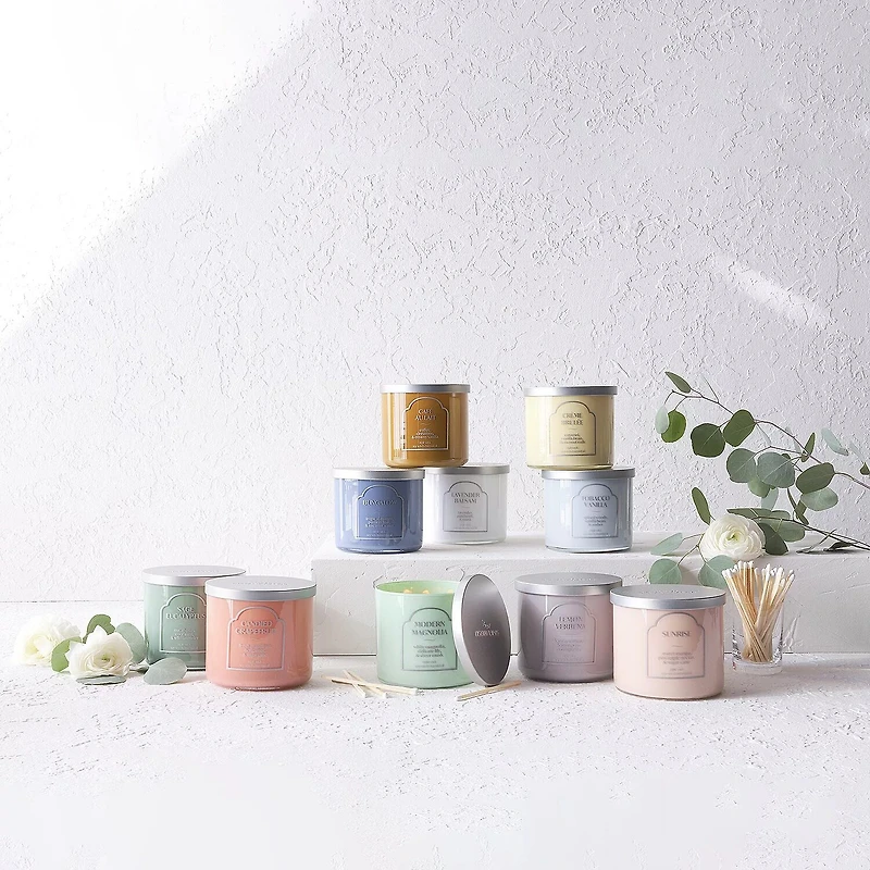 Distant Lands 14oz Sage Eucalyptus 3-Wick Scented Jar Candle