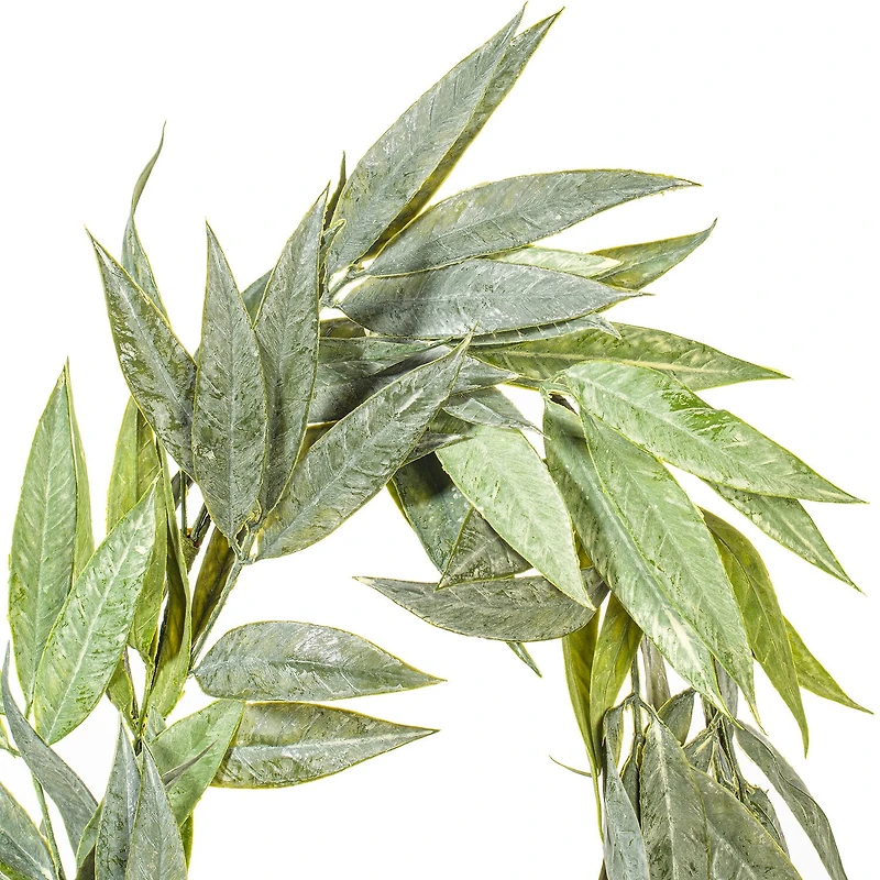 Vickerman 6' Green Muddy White Willow Garland X 30