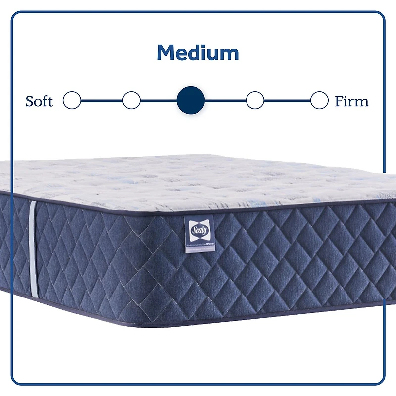 Sealy Wellmont 14.5" Medium Tight Top - Mattress Only