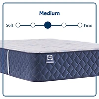 Sealy Wellmont 14.5" Medium Tight Top - Mattress Only