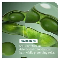 Biolage Color Last 3-pc. Gift Set