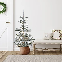 Northlight Noble Artificial Warm Clear Led Lights 4 1/2 Foot Pre-Lit Fir Christmas Tree