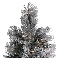 Northlight Black Spruce Artificial Clear Led Lights 7 1/2 Foot Pre-Lit Christmas Tree
