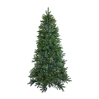 Northlight Medium Neola Fraser Artificial Dual Led Lights 6 1/2 Foot Pre-Lit Fir Christmas Tree