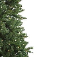 Northlight Medium Neola Fraser Artificial Dual Led Lights 6 1/2 Foot Pre-Lit Fir Christmas Tree