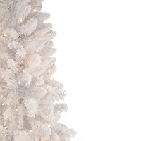 Northlight Medium Norway Artificial  Warm White Led Lights 6 1/2 Foot Pre-Lit Pine Christmas Tree