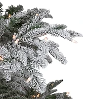 Northlight Full Whistler Noble Artificial Clear Lights 6 1/2 Foot Flocked Fir Christmas Tree