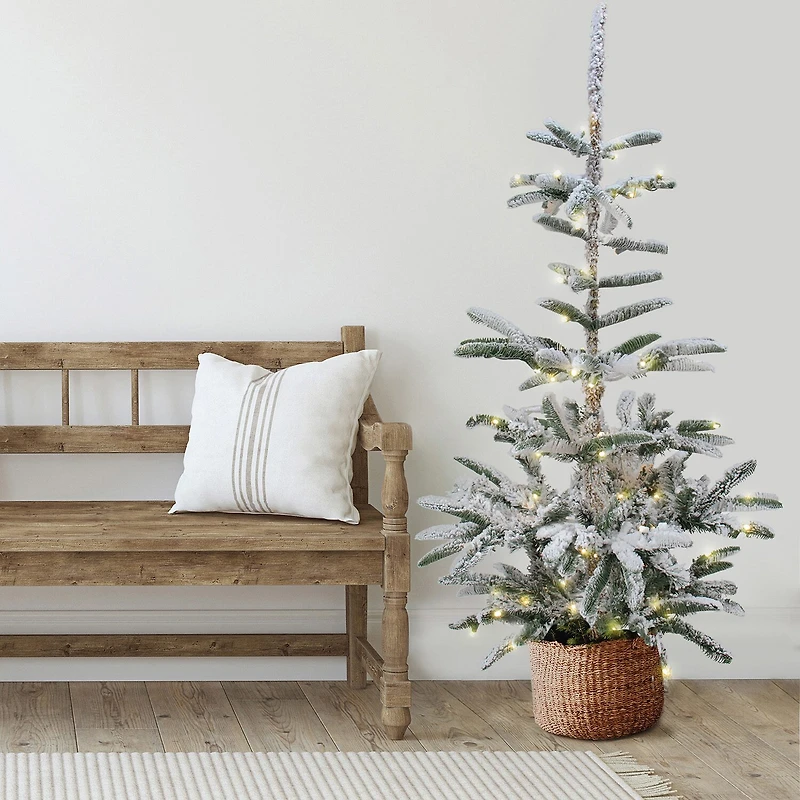 Northlight Slim Nordmann Artificial Warm Clear Led Lights 6 1/2 Foot Pre-Lit Fir Christmas Tree