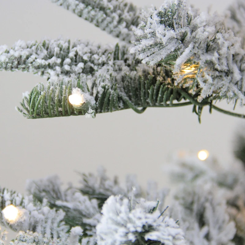 Northlight Slim Nordmann Artificial Warm Clear Led Lights 6 1/2 Foot Pre-Lit Fir Christmas Tree