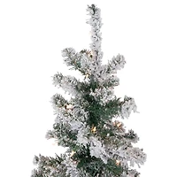 Northlight Slim Artificial  Clear Lights 6 Foot Pre-Lit Pine Christmas Tree