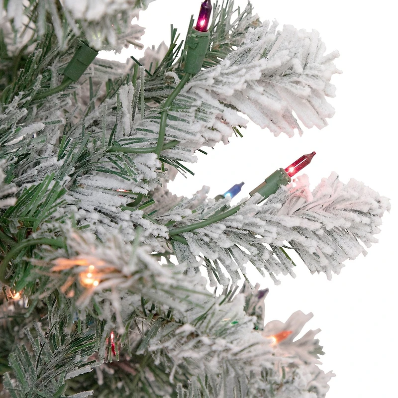 Northlight Madison Artificial Multi Lights 4 1/2 Foot Pre-Lit Pine Christmas Tree