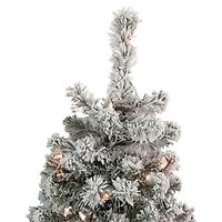 Northlight Madison Artificial  Clear Lights 4 1/2 Foot Flocked Pine Christmas Tree