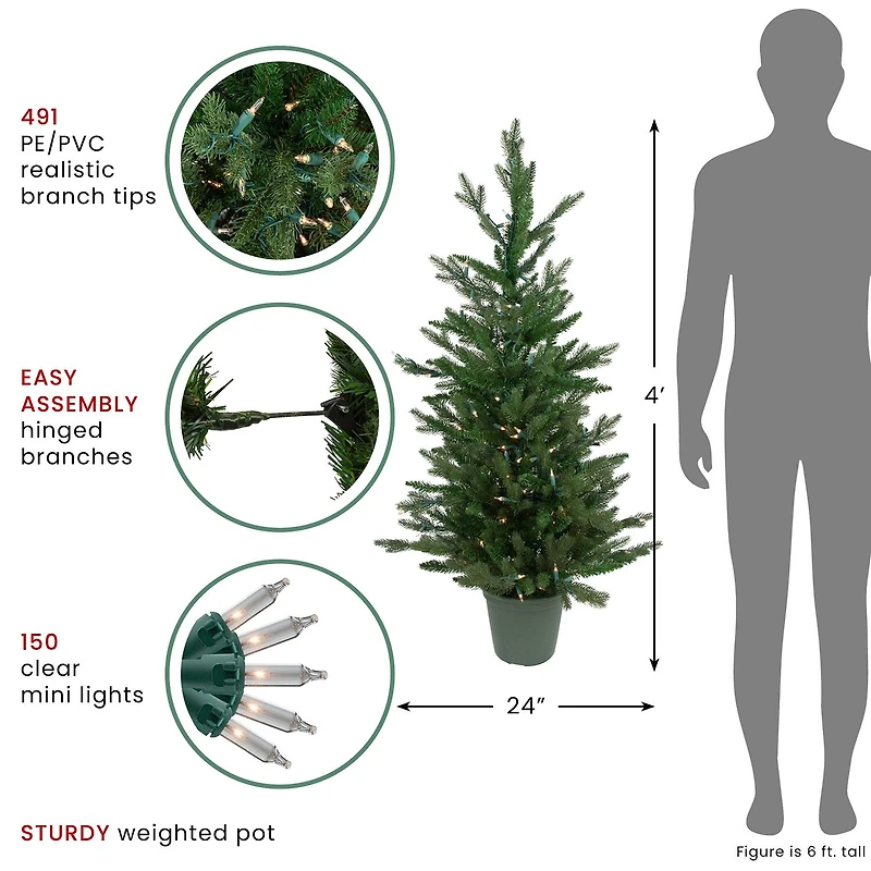 Northlight Spruce Potted 4 Foot Pre-Lit Spruce Christmas Tree