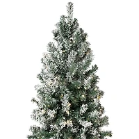 Northlight Slim Flocked Pine 9 Foot Pre-Lit Pine Christmas Tree