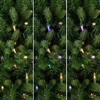 Northlight Frasier Fir Slim 7 1/2 Foot Pre-Lit Fir Christmas Tree