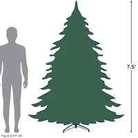 Northlight Frasier Fir Slim 7 1/2 Foot Pre-Lit Fir Christmas Tree