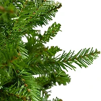 Northlight Full Northern Unlit 10 Foot Pine Christmas Tree