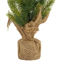 Northlight Mini Pine 1 1/2 Feet Pine Christmas Tree