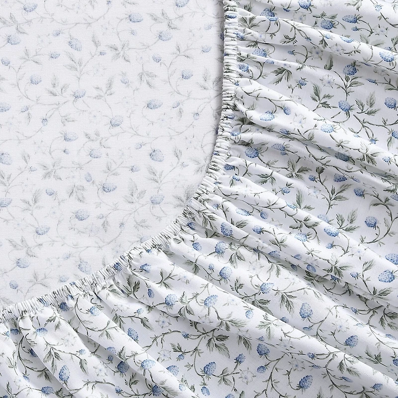 Laura Ashley Bramble Vine 300tc Sheet Set