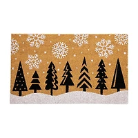 Northlight Natural Coir Indoor Rectangular Doormat
