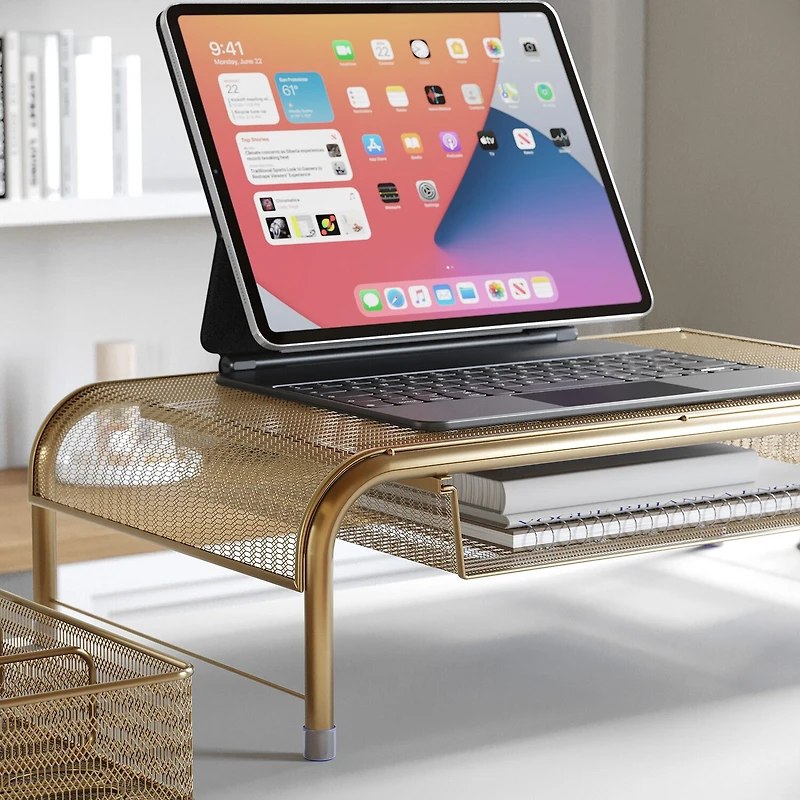 Martha Stewart Mesh Monitor Riser