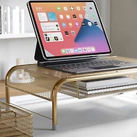 Martha Stewart Mesh Monitor Riser