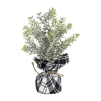 Northlight 9" Mini Frosted Pine Artificial 1 Foot Pine Christmas Tree