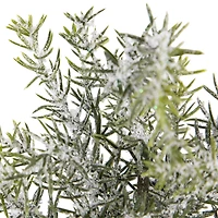 Northlight 9" Mini Frosted Pine Artificial 1 Foot Pine Christmas Tree