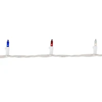 Northlight 34ft 150ct Chasing Mini String Lights